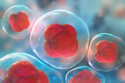 cells or molecules